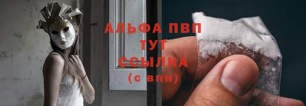 соль ск Пересвет