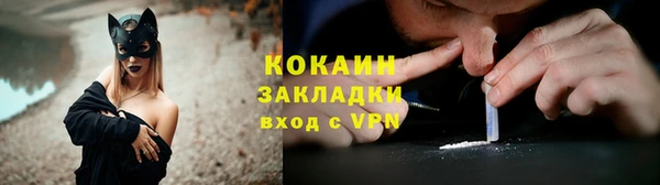 соль ск Пересвет