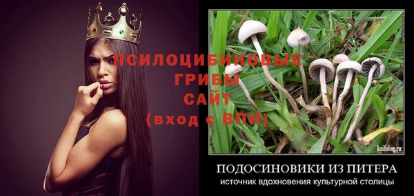 амф Сатка