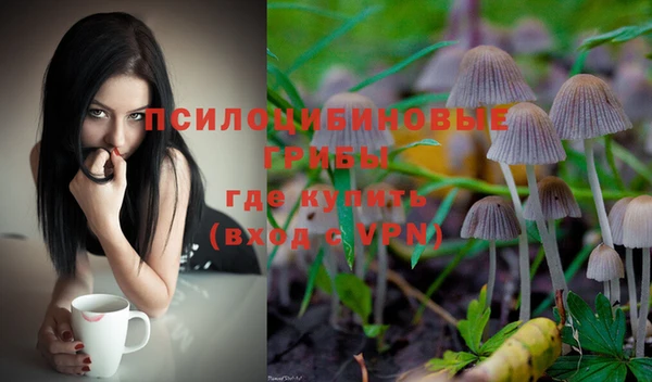 соль ск Пересвет