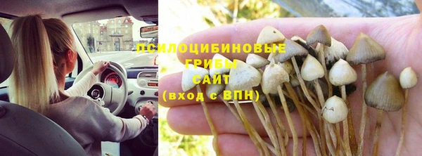каннабис Пестово